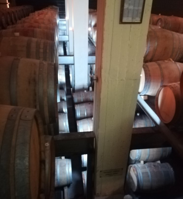 Boutari Winery景点图片