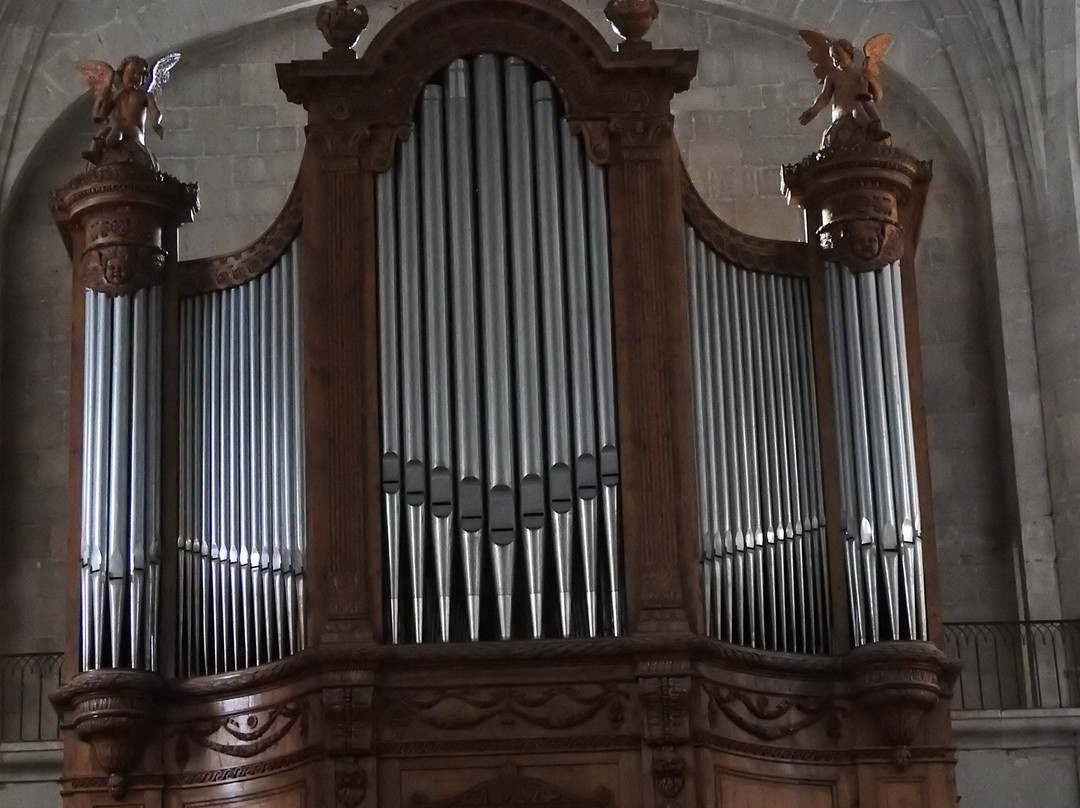 Cathédrale Saint-Pierre景点图片