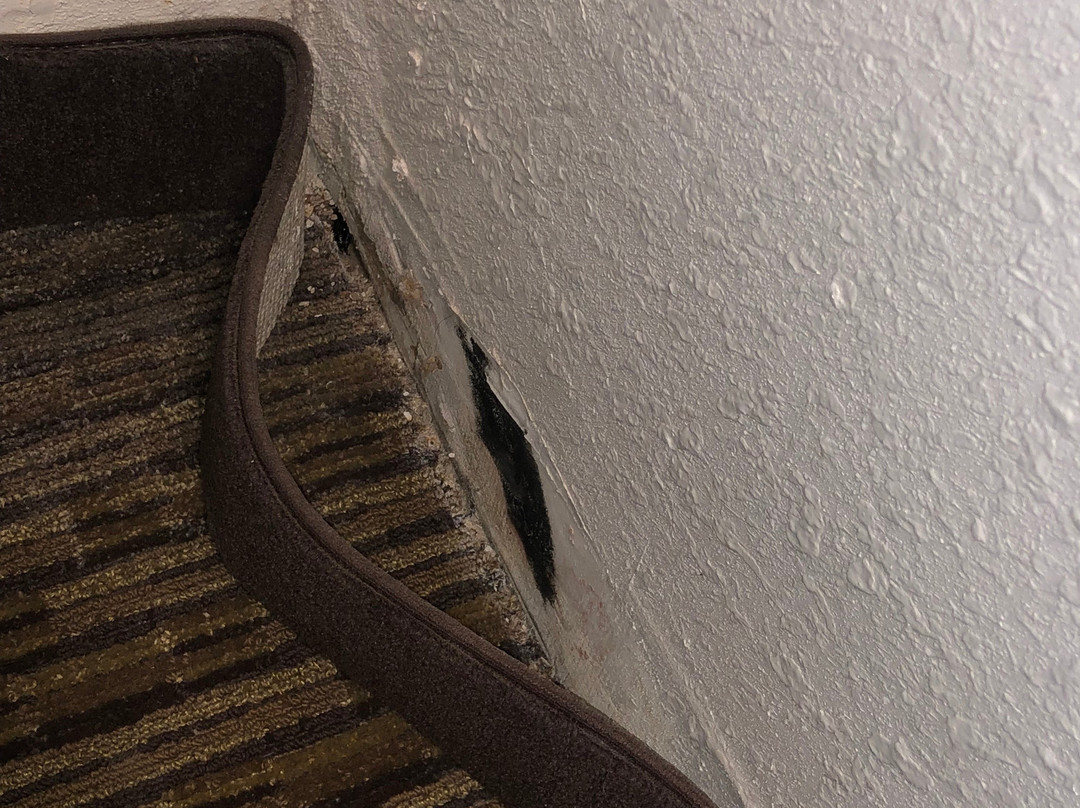 Cortina Inn Rutland/Killington主图