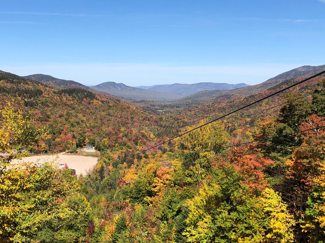 Wildcat Mountain-杰克逊必去景点