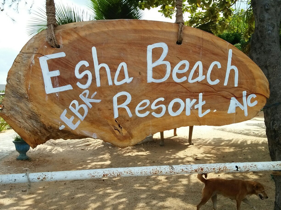 Esha Beach Resort主图