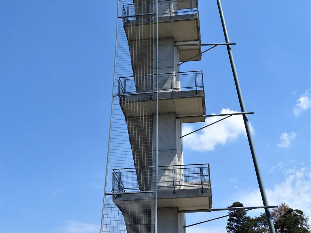 "Ost-See" Aussichtsturm Merzdorf-Cottbus必去景点