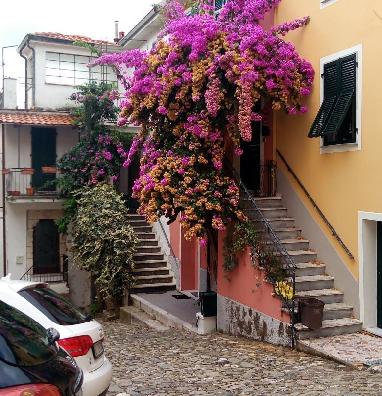 Castello dei Vescovi di Luni景点图片