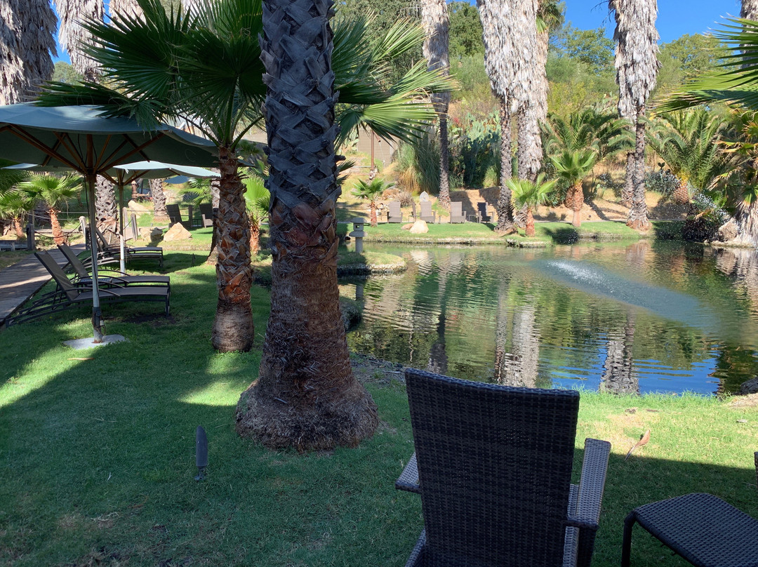 Indian Springs Calistoga主图