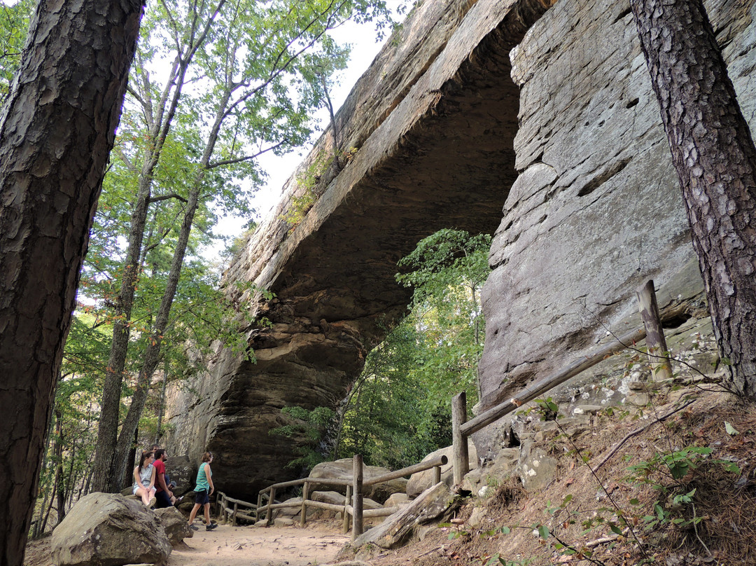 Natural Bridge Sky Lift Gift Shop景点图片