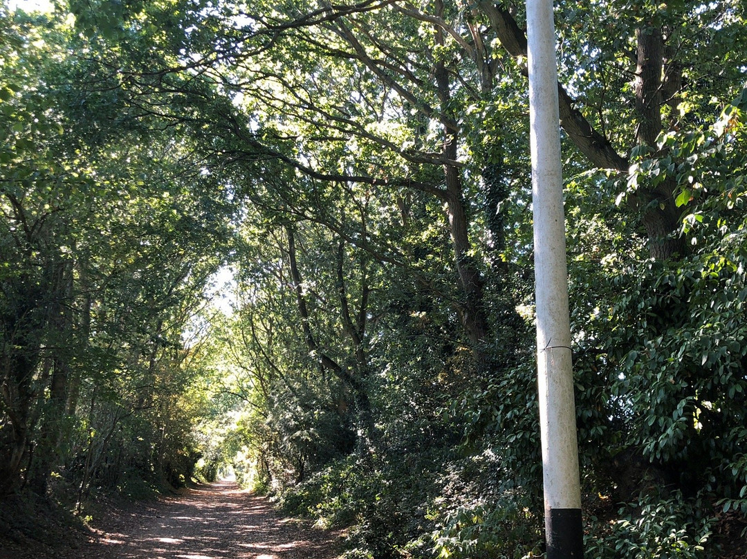 The Nickey Line Rail walk景点图片