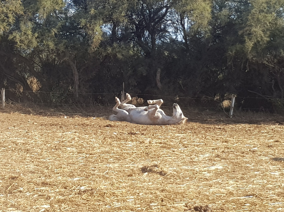 Ranch Saint Jean-Serignan必去景点