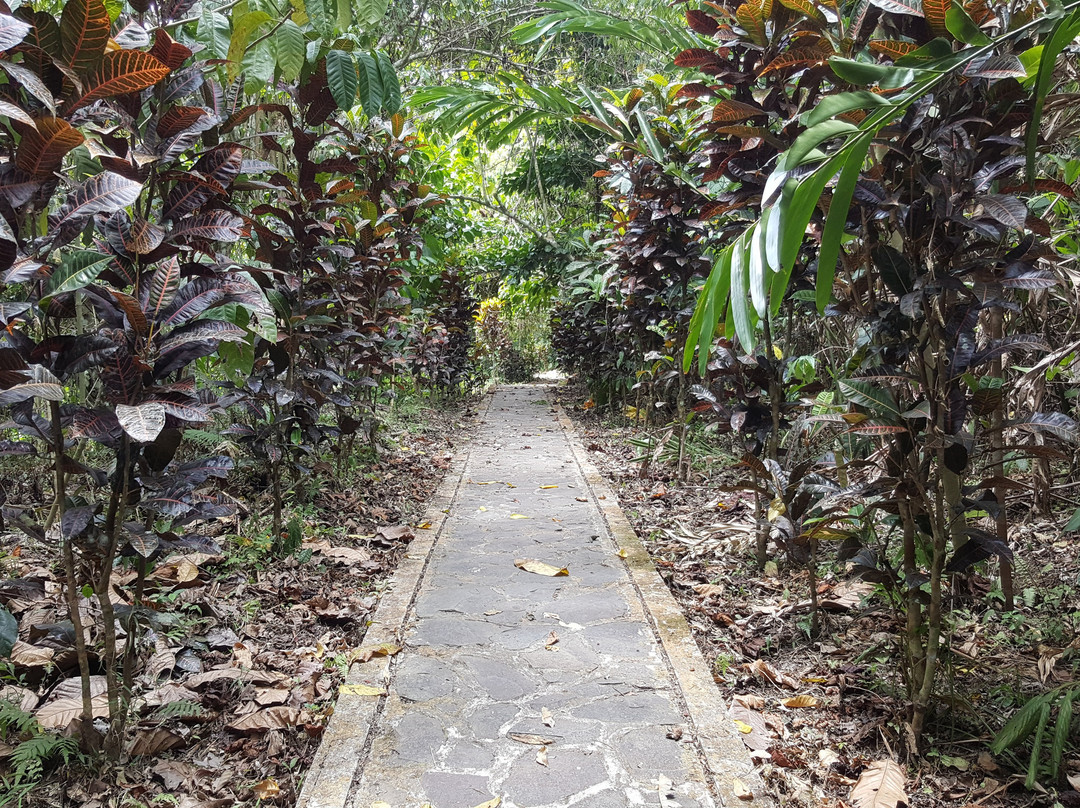 Tunan Waterfall景点图片