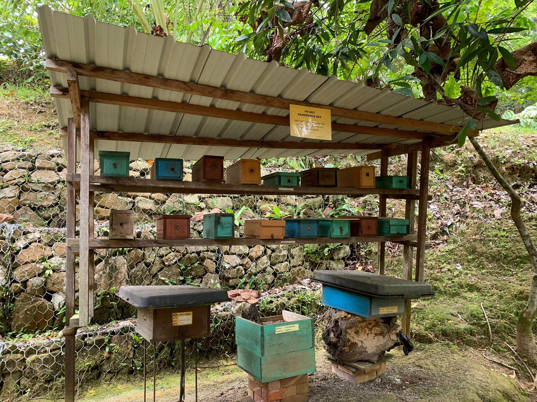 Tasbee Meliponiculture Farm-Tutong必去景点