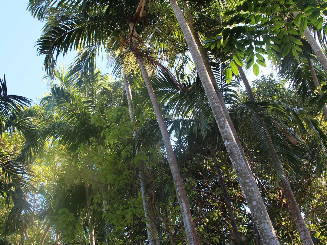 Rum Jungle Bungalows主图