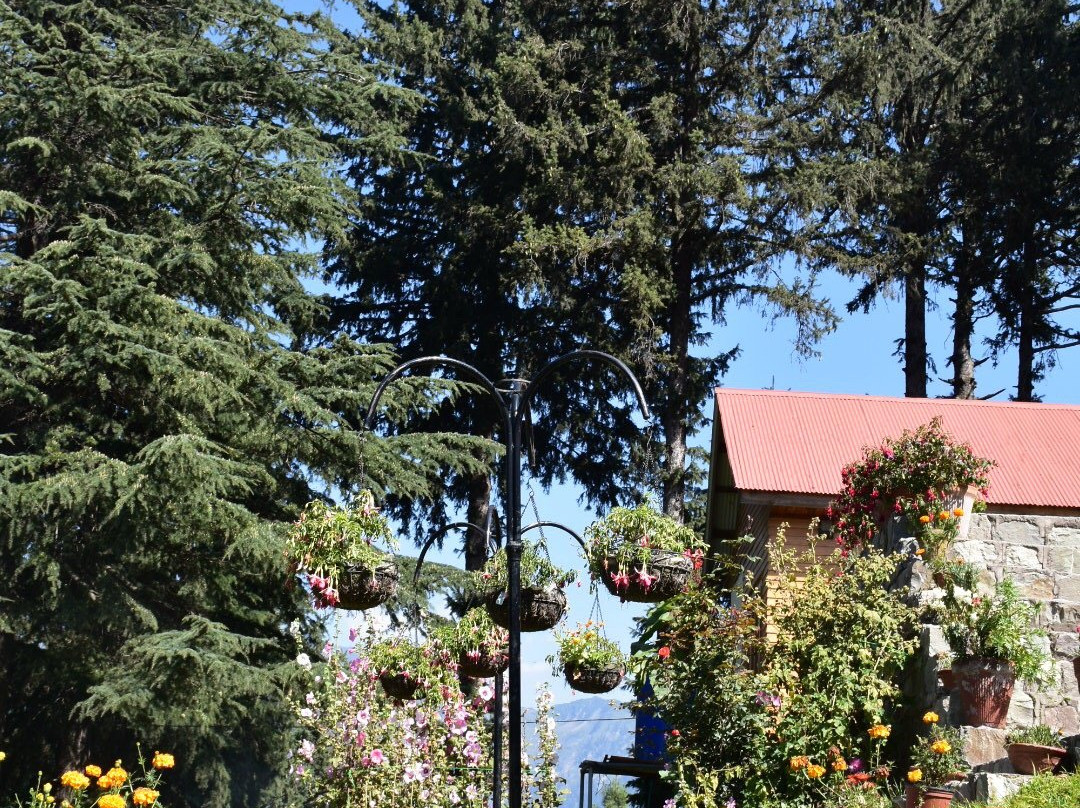 Arcadian Sprucewoods Luxury Resort主图