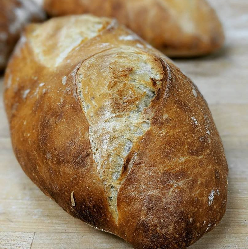 Tunnel of Trees - M119-Harbor Springs必去景点