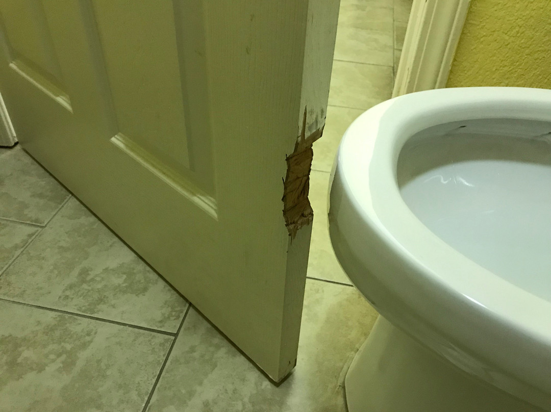 Days Inn by Wyndham Savannah主图