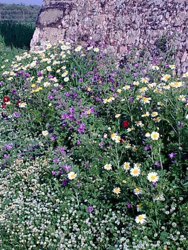 Agios Ioannis Theologos Church-Elos必去景点