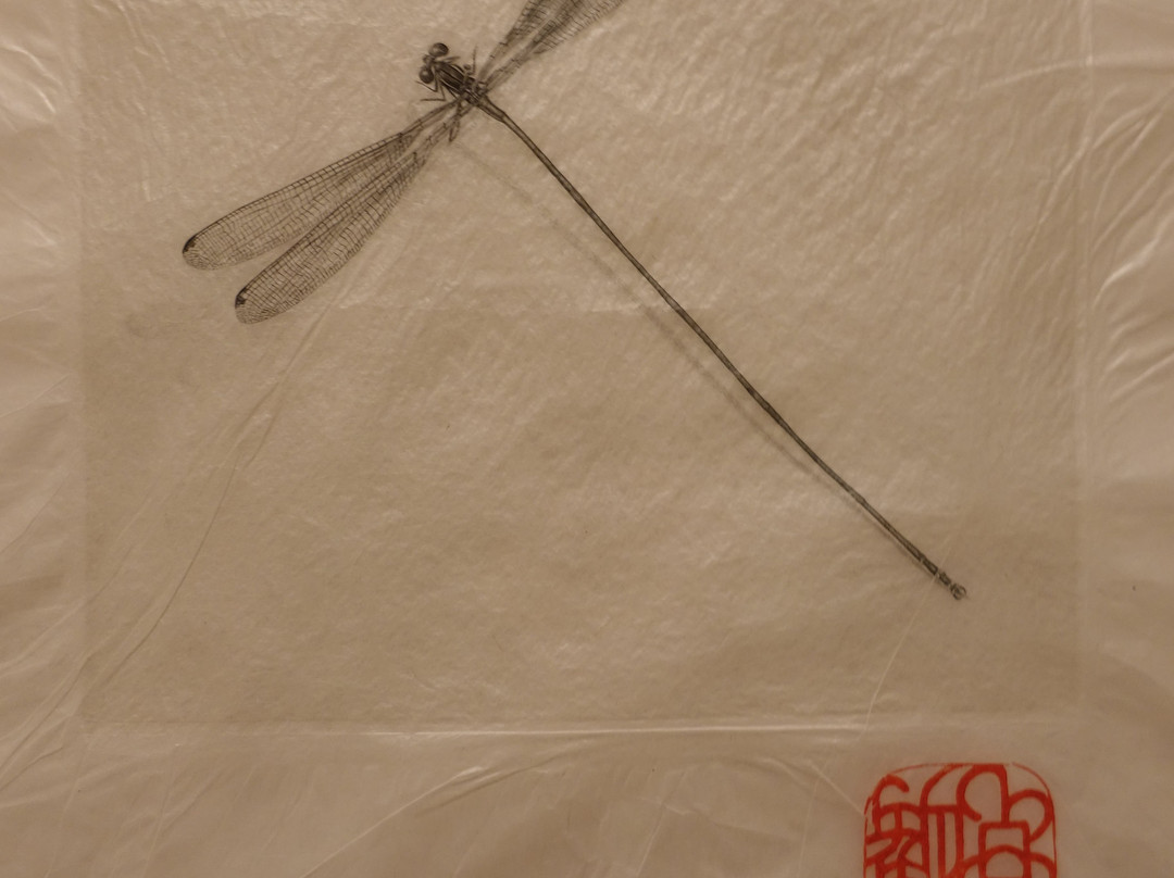 Allen Memorial Art Museum景点图片