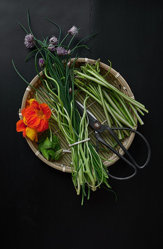 Shou Sugi Ban House主图