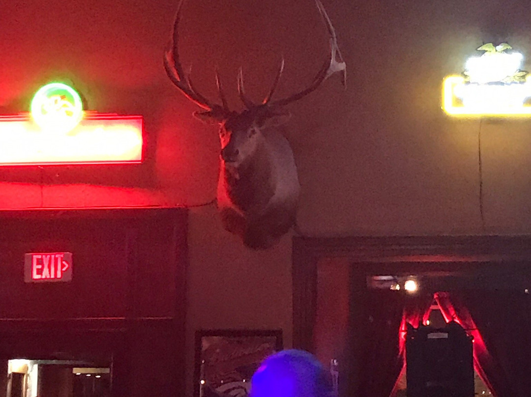 Wild Horse Saloon-杜兰戈必去景点