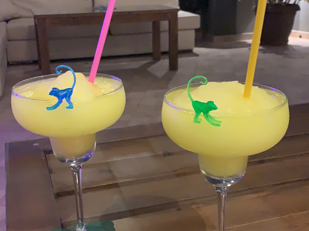 Iguana Cocktail Bar景点图片