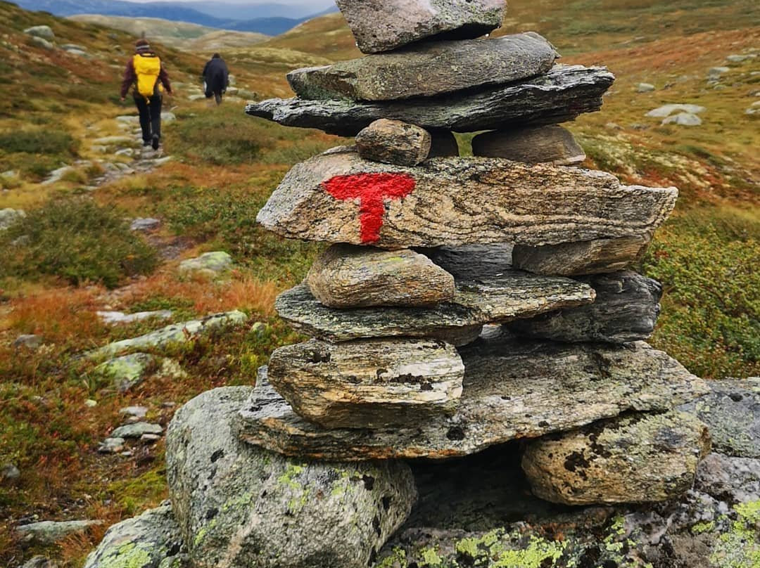 Storestølen Fjellhotell主图