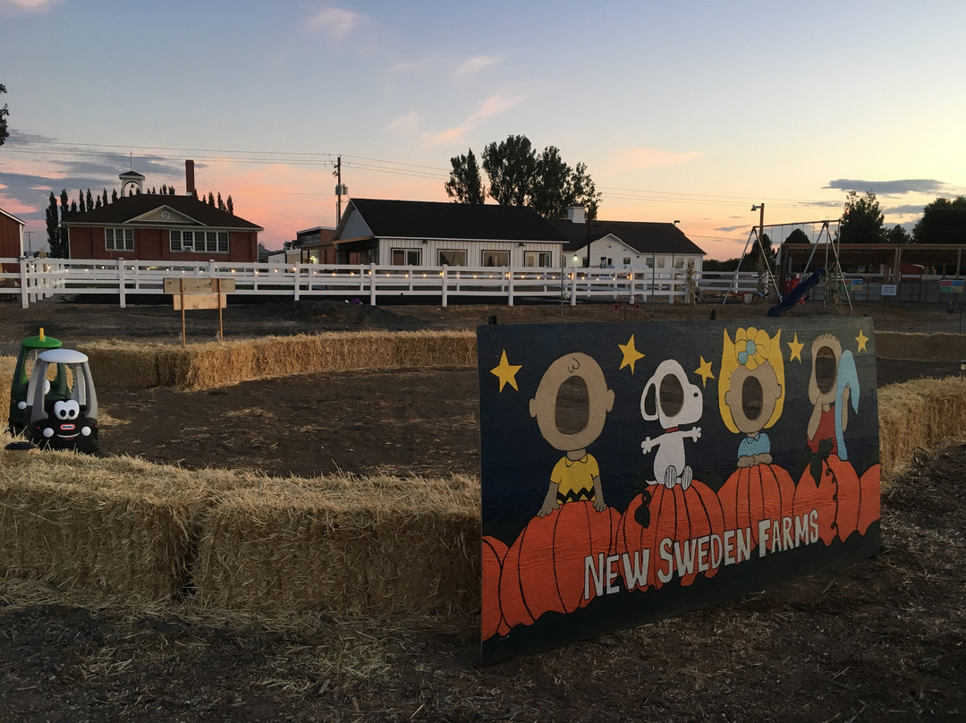 New Sweden Farms景点图片