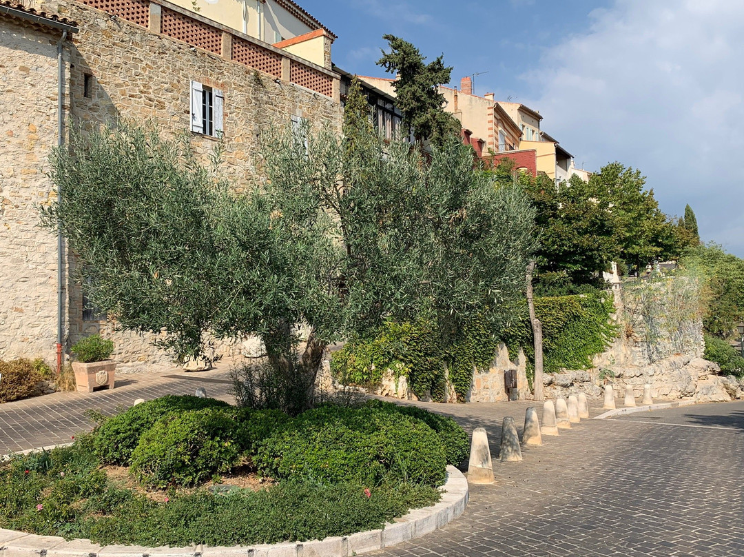 Le Castellet Village Médiéval景点图片