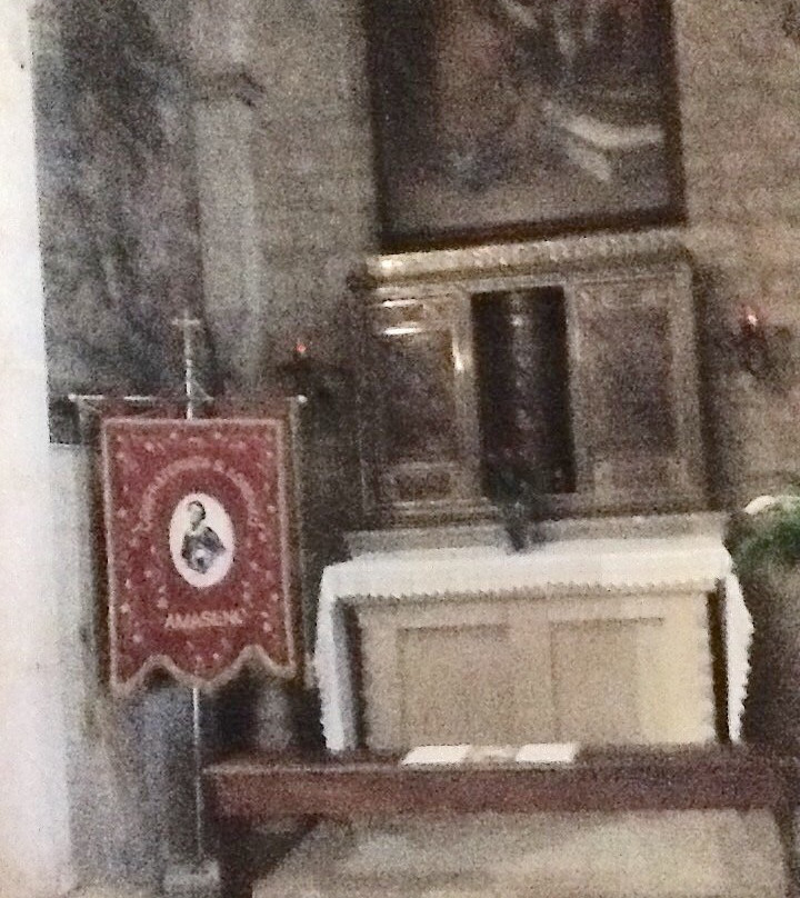 Collegiata di Santa Maria Assunta景点图片
