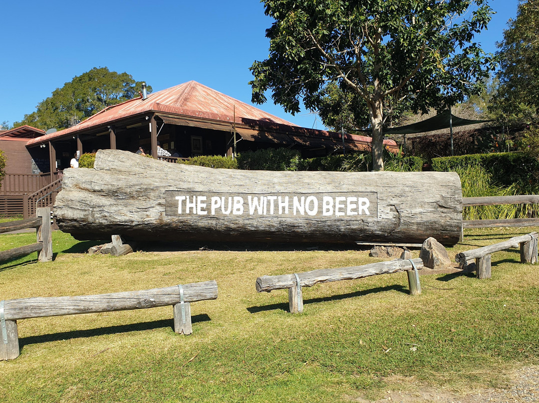 Port Bus-麦克夸利港必去景点