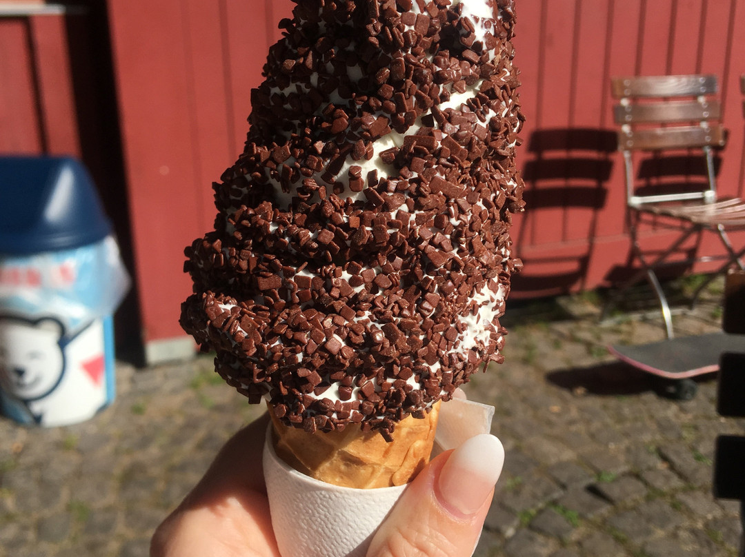 Skovsøen-欧登塞必去景点