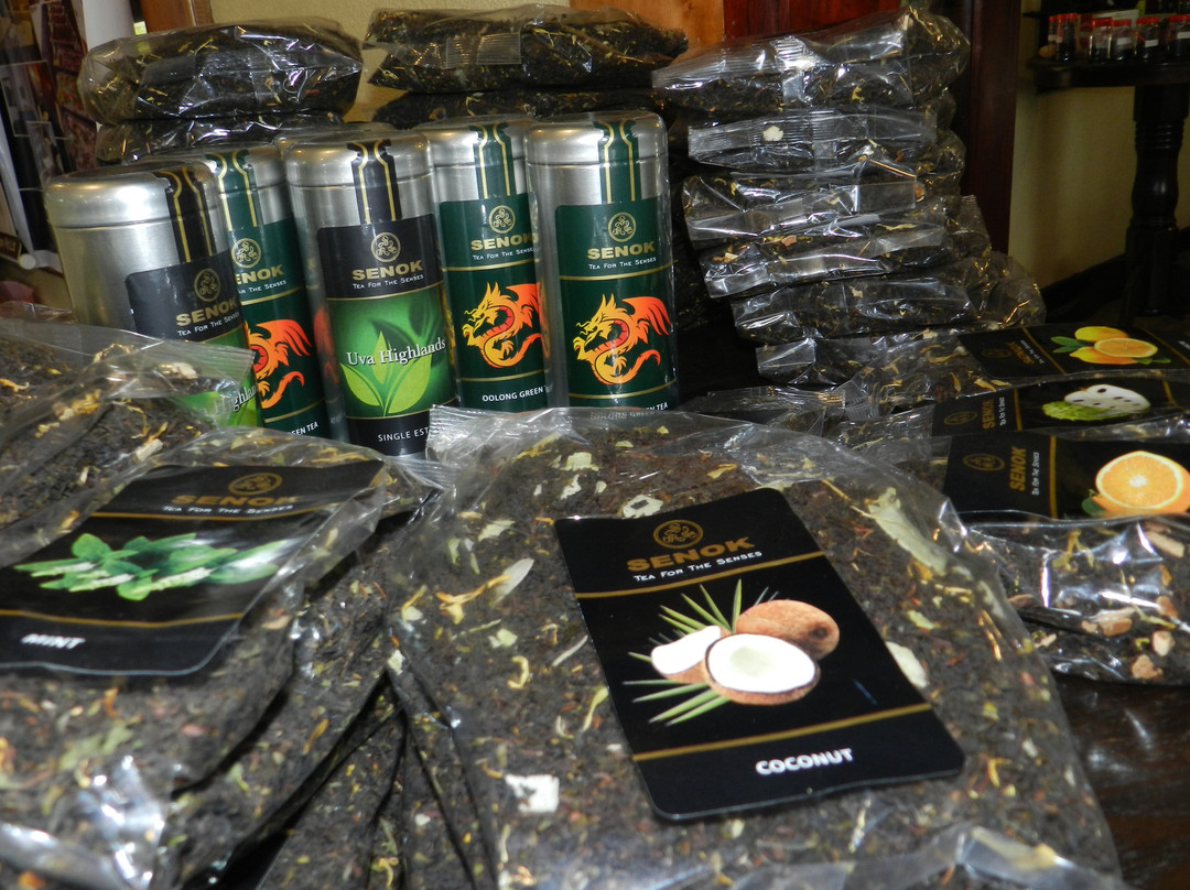 Eeescart Family Resort主图