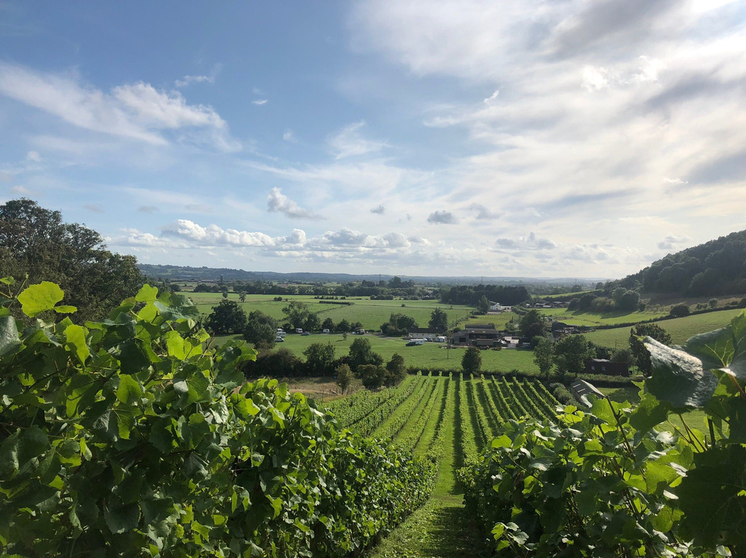 Fenny Castle Vineyard景点图片