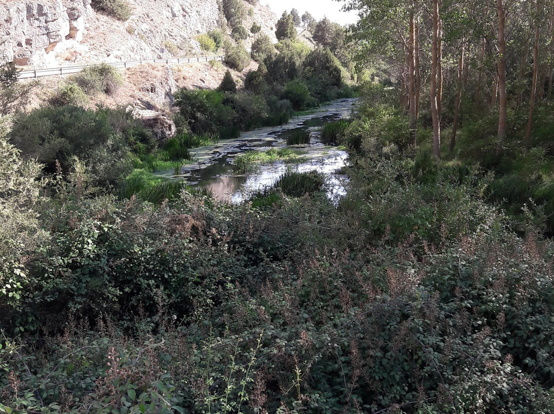 Nacimiento Rio Ucero景点图片