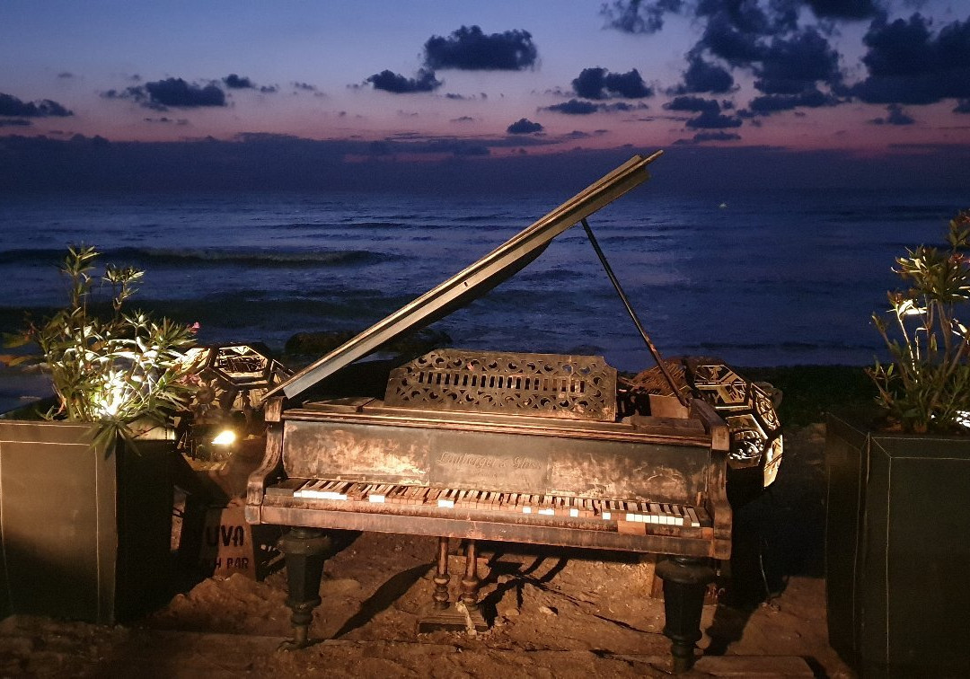 Yuva Beach bar-Vama Veche必去景点