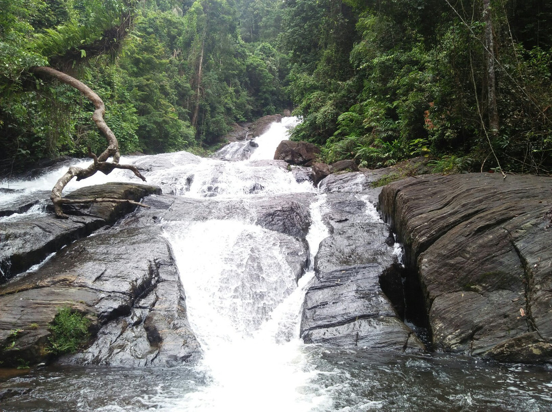 Tropical Rain Forest Sinharaja-Neluwa必去景点