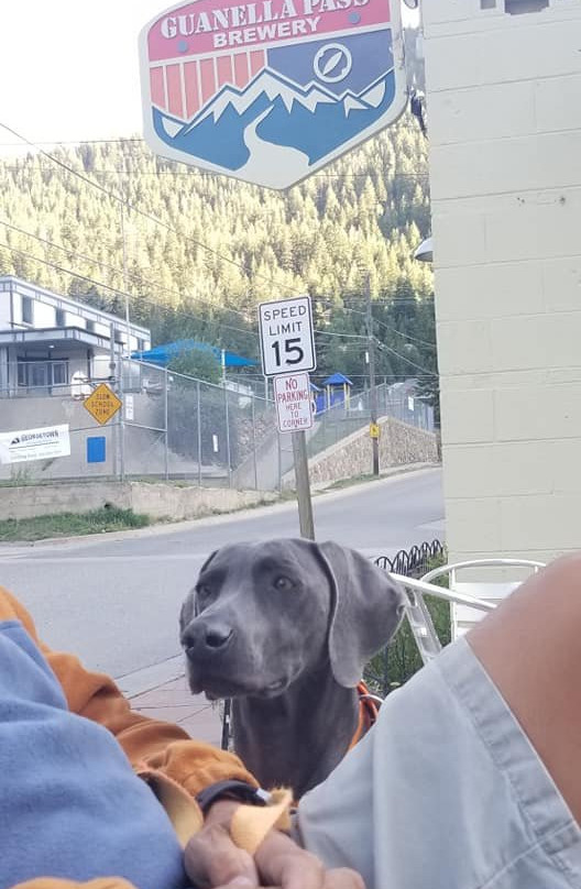 Guanella Pass Brewing景点图片