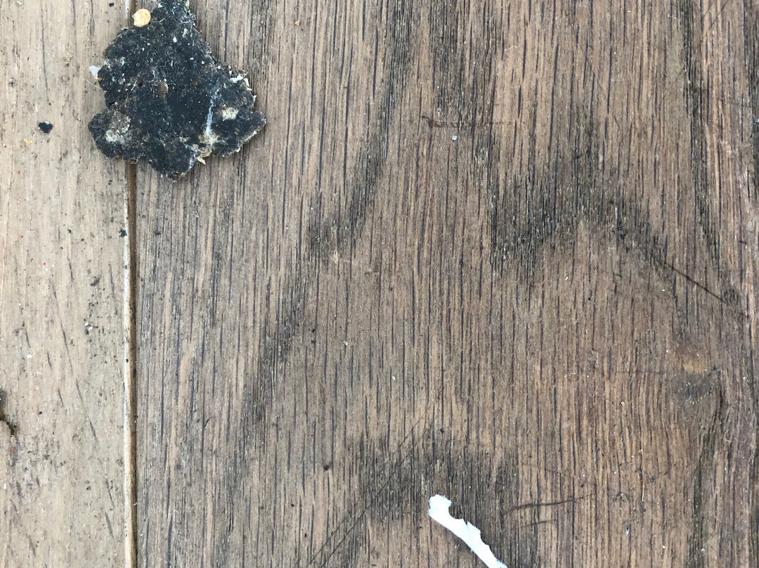 Salcombe HarSpa景点图片