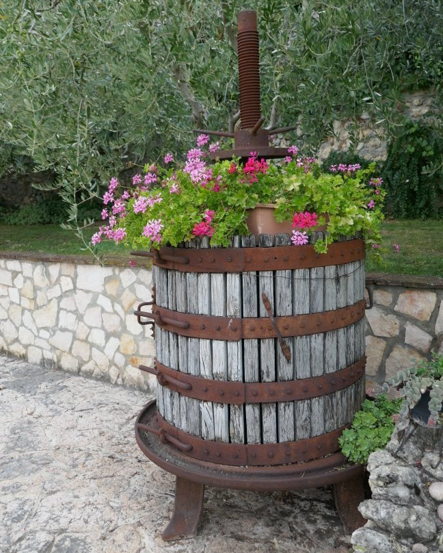 Agriturismo El Crear主图