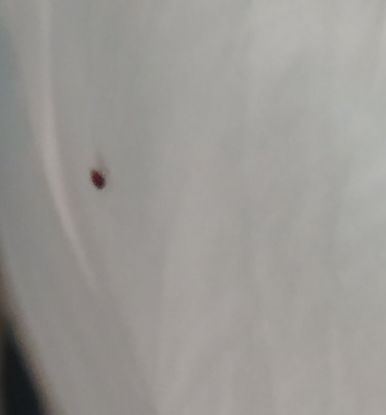 Hotel Villa Romanica主图