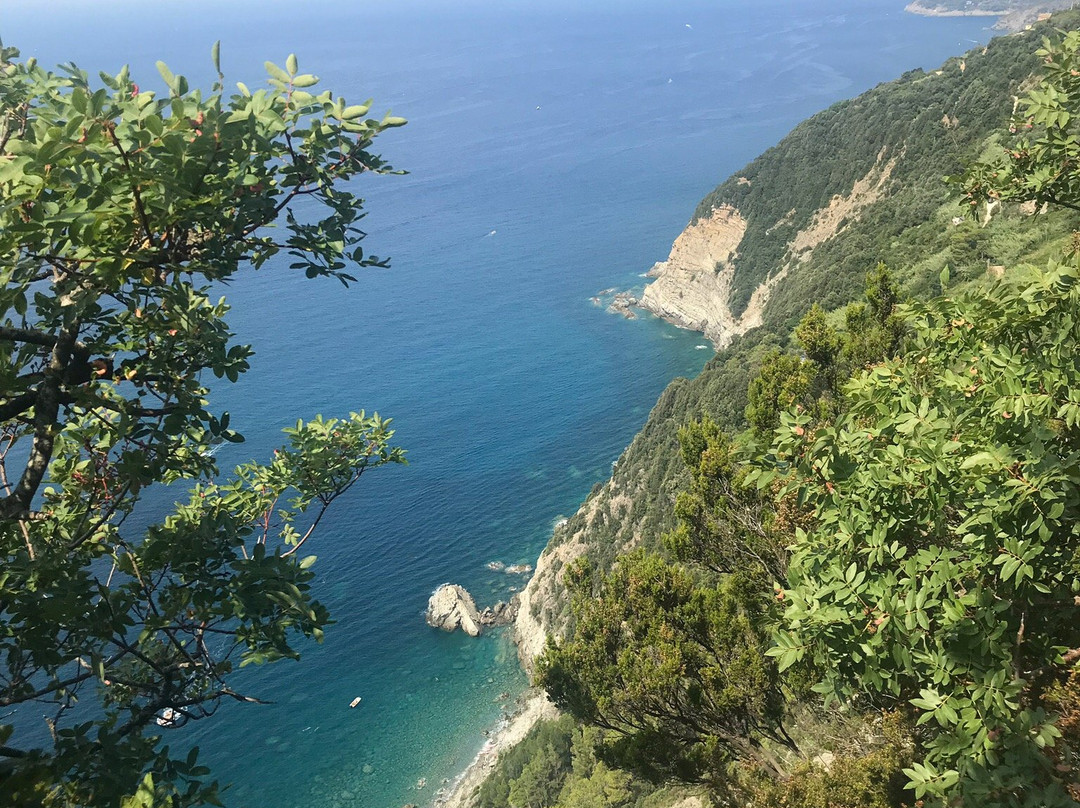 Levanto to Monterosso Trail景点图片