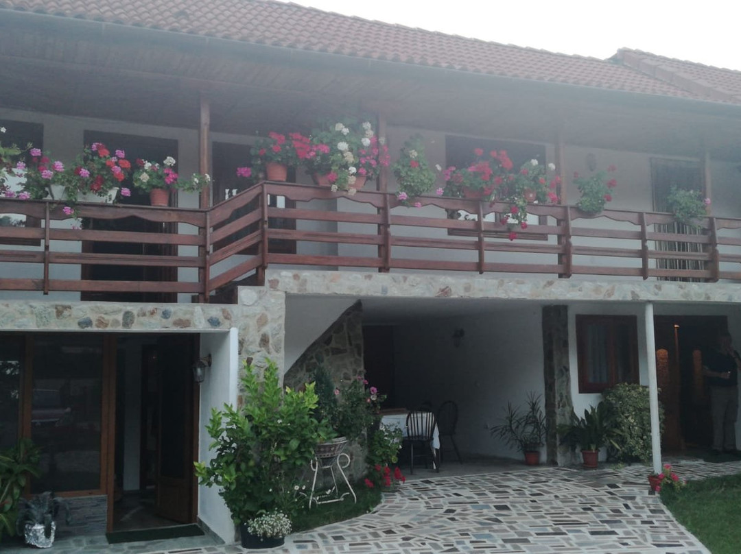 Casa de vacanta Motata
