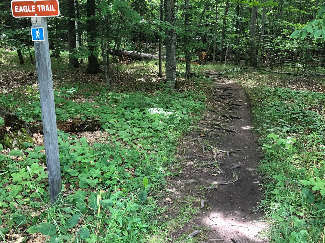 Eagle Trail-Fish Creek必去景点