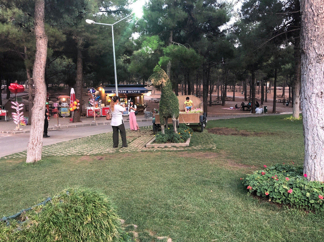 Dulukbaba Tabiat Parki景点图片