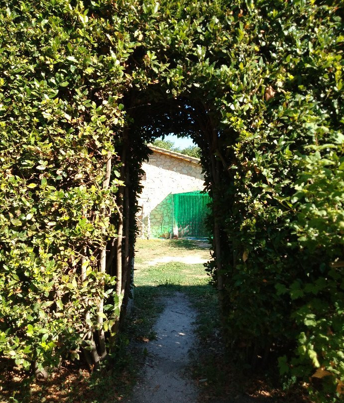 Agriturismo La Pellegrina主图