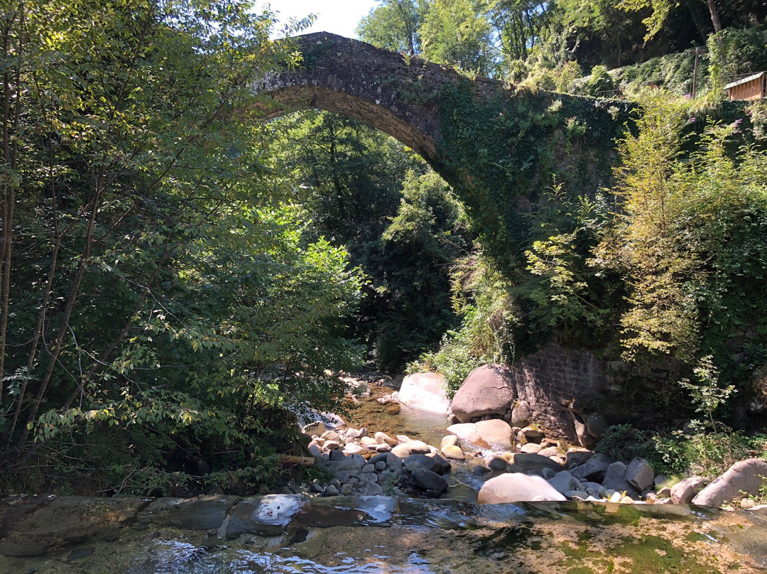 Ponte Dei Mulini景点图片