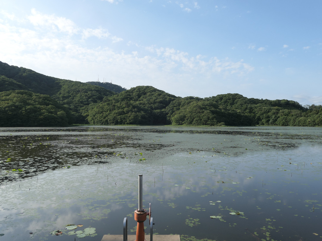 Oyama Kamiike Pond-鹤冈市必去景点