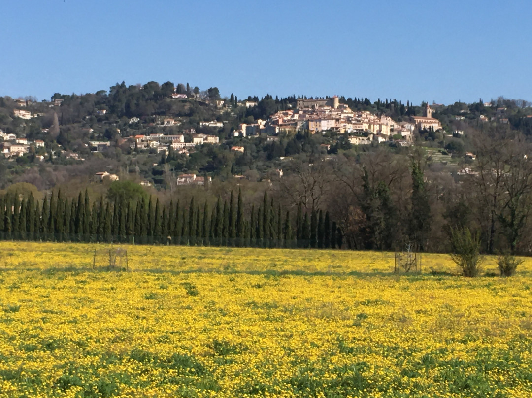 Zazen en Provence主图