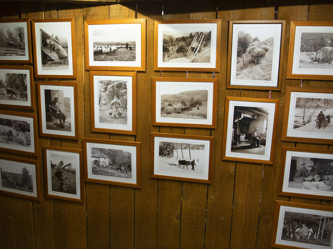 Photos des Vosges - Joel COUCHOURON景点图片