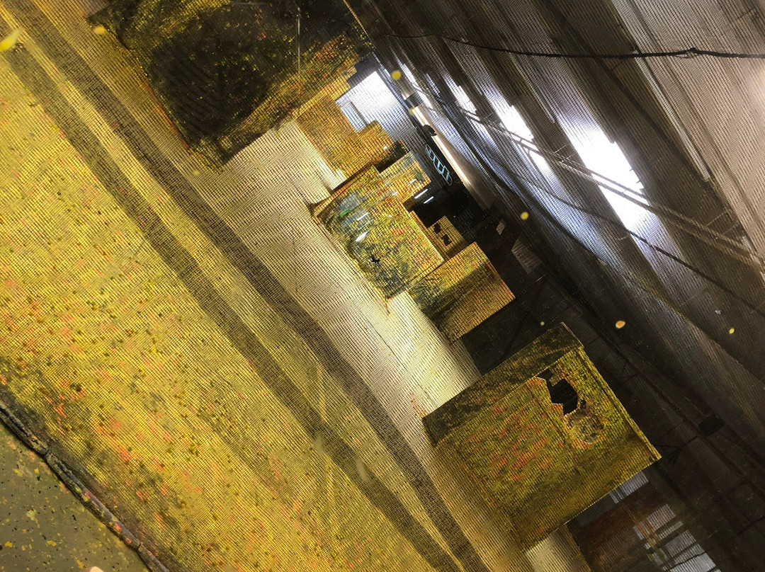 Paintball Arena Kraichgau景点图片