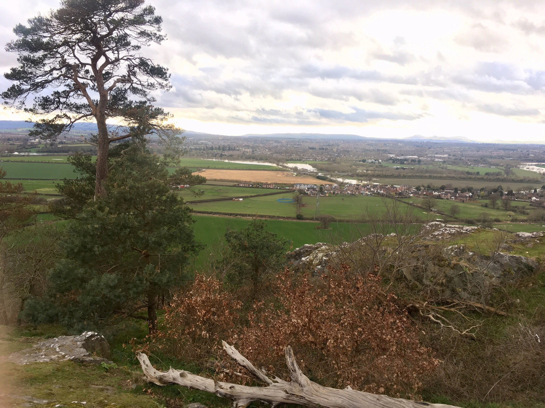 Haughmond Hill-什鲁斯伯里必去景点