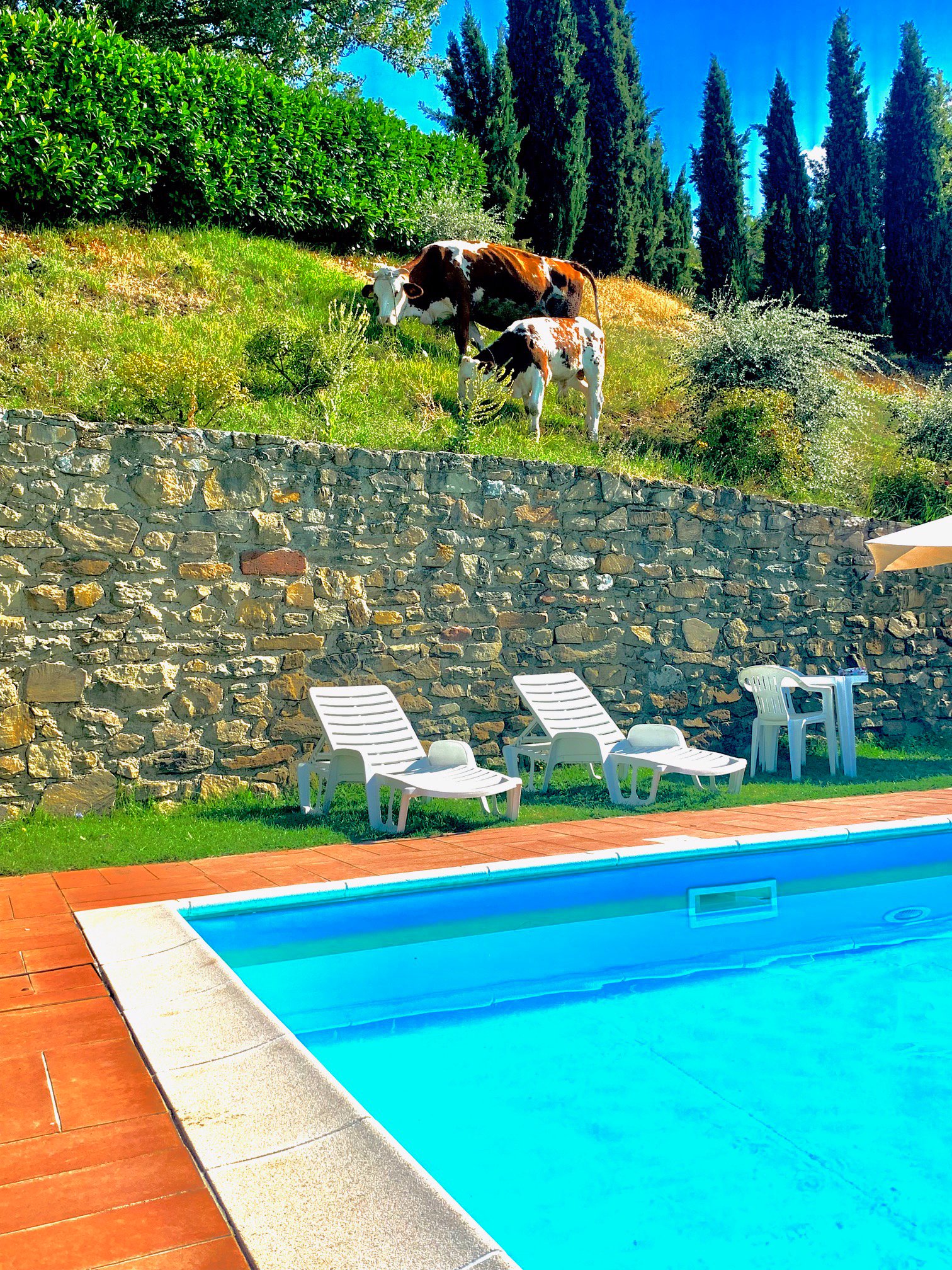 Borgo La Capraia-泳池