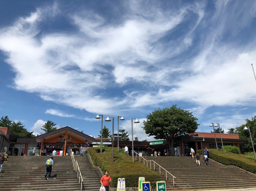 Maesawa Service Area Inbound-奥州市必去景点